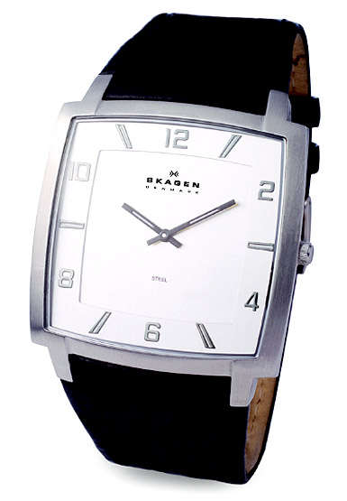 Skagen Unisex Oversized Silver Case Watch