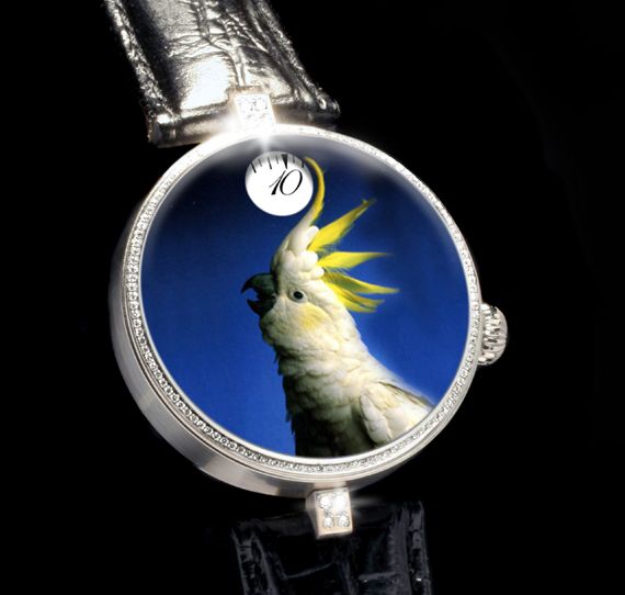 angular-momentum-cockatoo-3-tg-watch