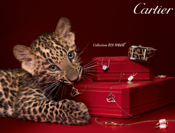 Cartier les must Cheetah watch