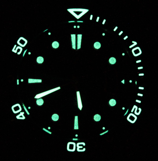 Alpina Extreme Diver watch-11