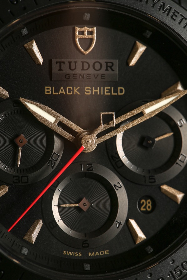 Tudor-Fastrider-Black-Shield-10