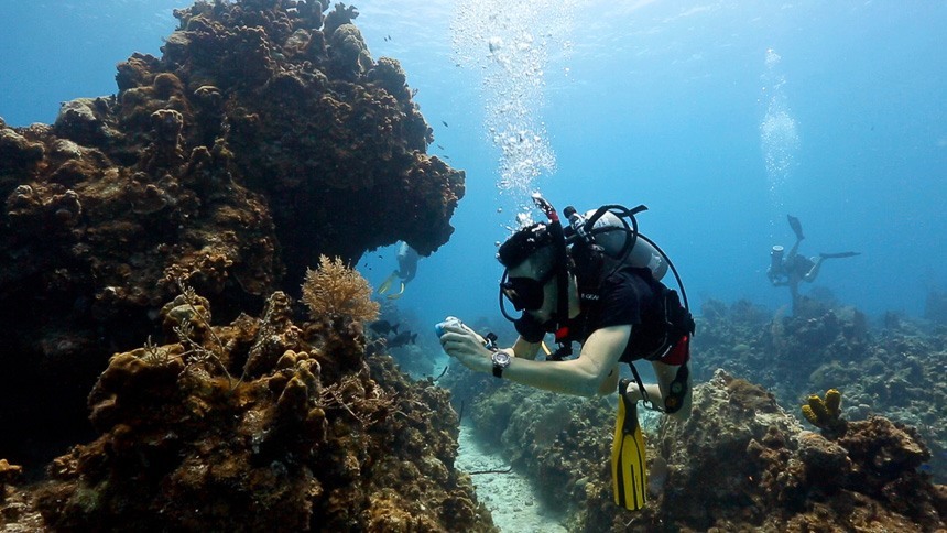 Oris-diving-grand-cayman-zach-40