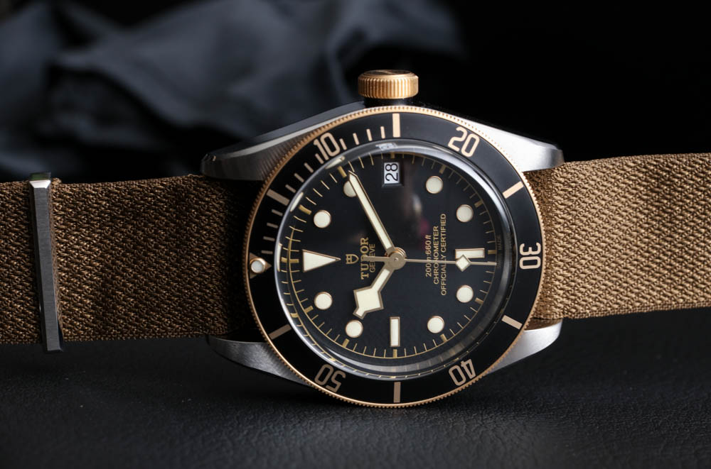 Tudor-Heritage-Black-Bay-S&G-79733N-watch-2