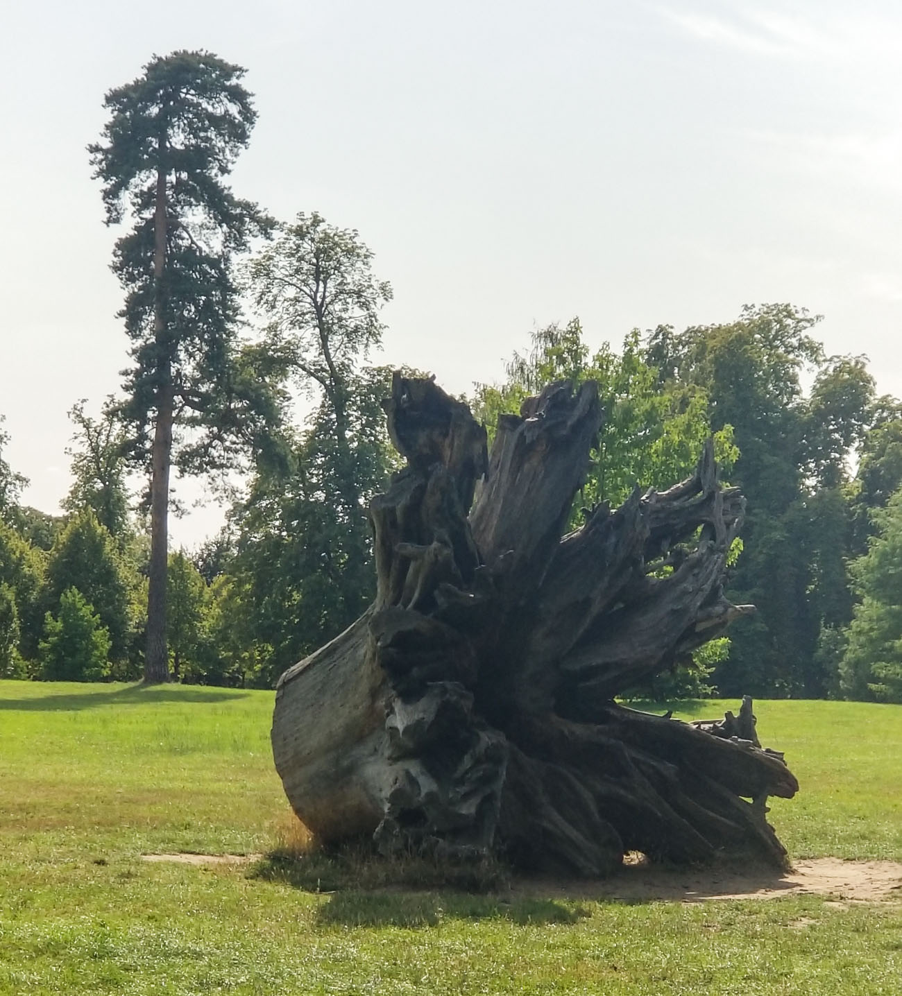 Montre Swatch - Gardens of Versailles