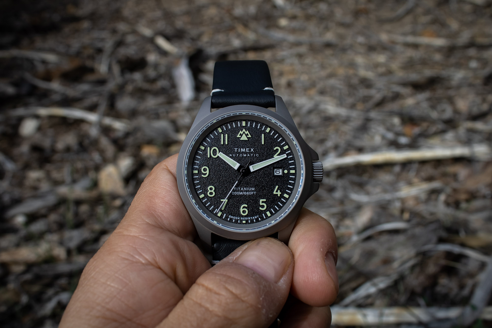 Top 36+ imagen timex titanium watch