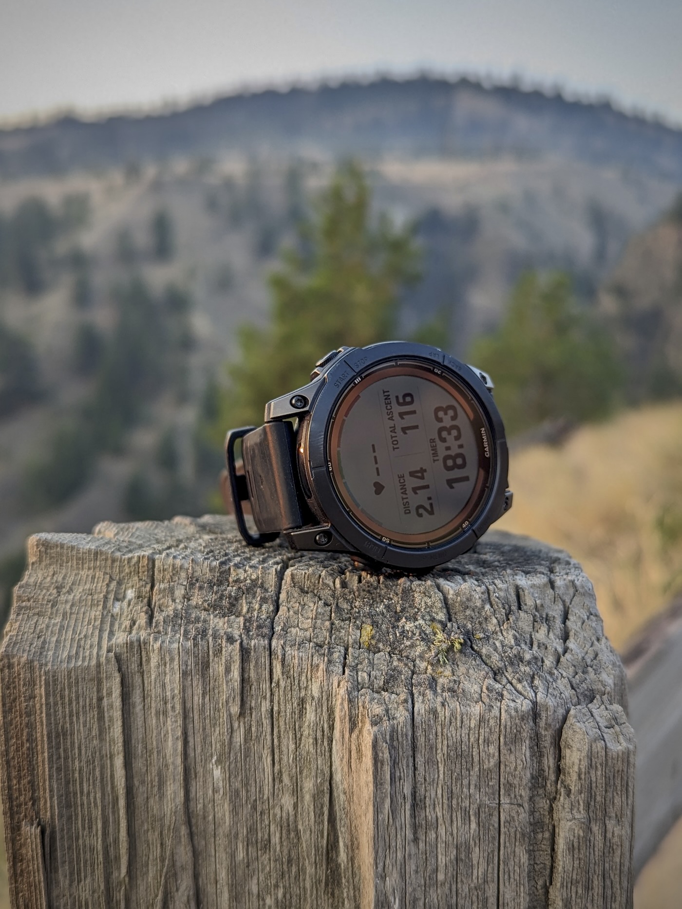 Expert review Garmin Fenix 7 Pro - Coolblue - anything for a smile